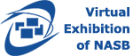 The Top-10 profiles the Virtual exhibition and the online Catalog NASB in Q1 2019